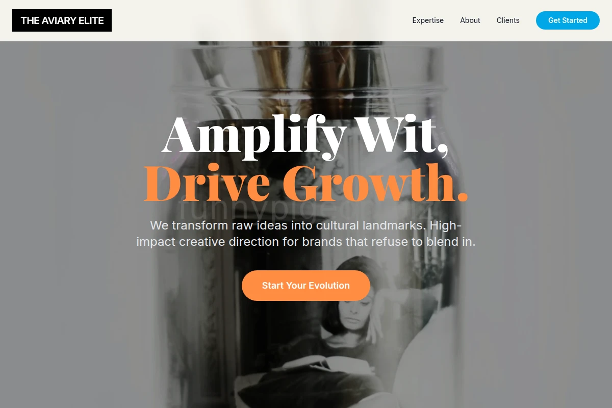 Seed Creative Direction