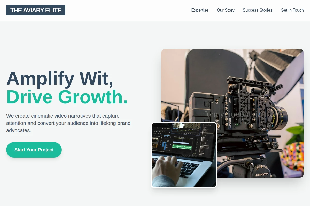 Twig Video Marketing